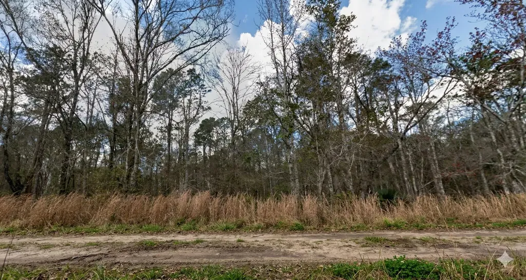 10335 Hennessey Avenue Hastings FL 32145