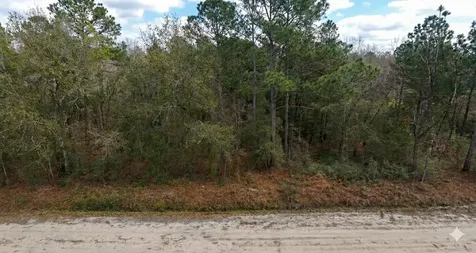 10230 Zigler Avenue Hastings FL 32145