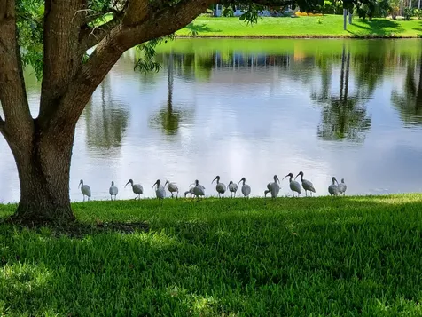 6711 Dickinson Terrace Port Saint Lucie FL 34952