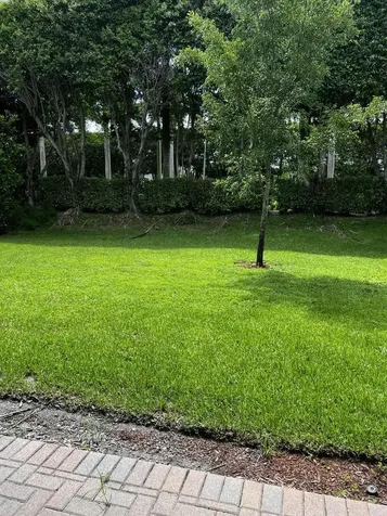 9555 Phipps Lane Wellington FL 33414