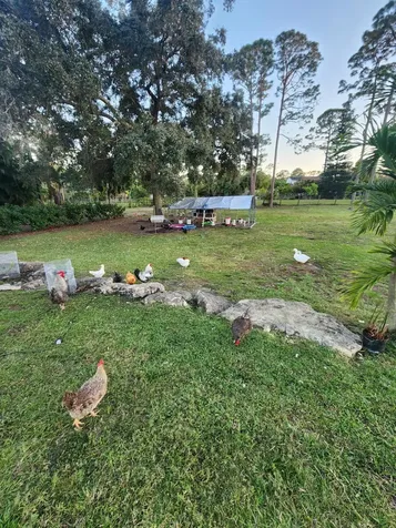 11158 51st Court The Acreage FL 33411
