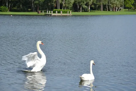 3150 Leewood Terrace Boca Raton FL 33431