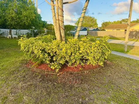 7801 Sw 8th Street North Lauderdale FL 33068