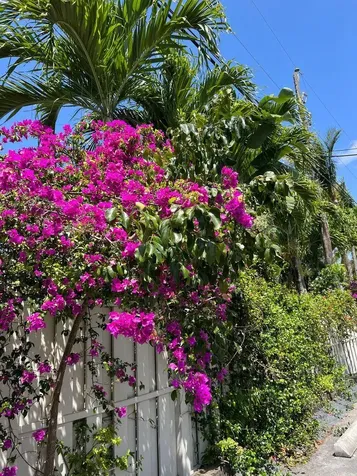 480 W Camino Real Boca Raton FL 33432