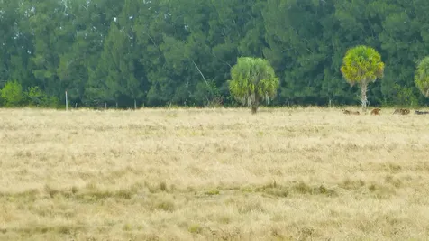 Tbd Kelly Road Fort Pierce FL 34945