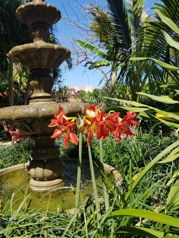 226 NE 1st Avenue Delray Beach FL 33444