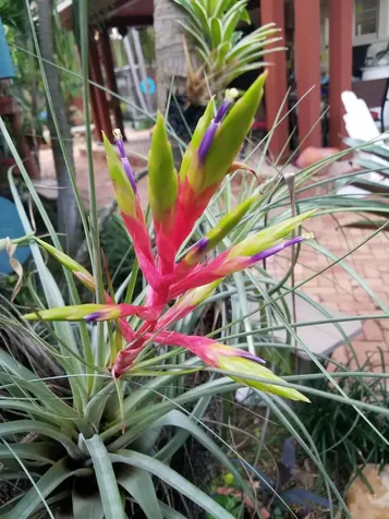 226 NE 1st Avenue Delray Beach FL 33444
