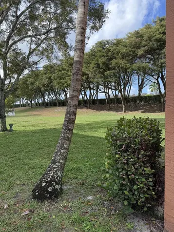9960 Woodworth Court Wellington FL 33414