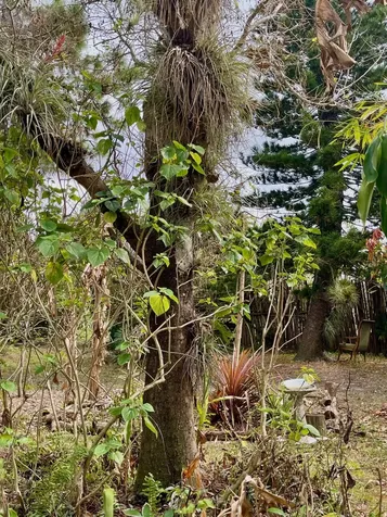 6685 Lakeside Road West Palm Beach FL 33411