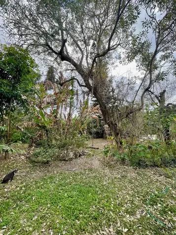 6685 Lakeside Road West Palm Beach FL 33411