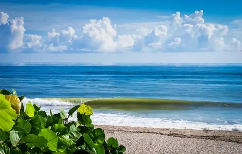401 Ocean Bluffs Boulevard Jupiter FL 33477