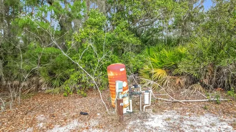 50 Malauka Pass Ocklawaha FL 32179