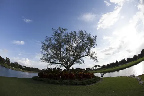 7314 Clunie Place Delray Beach FL 33446