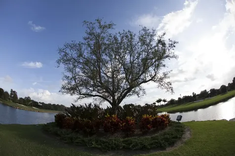 7314 Clunie Place Delray Beach FL 33446