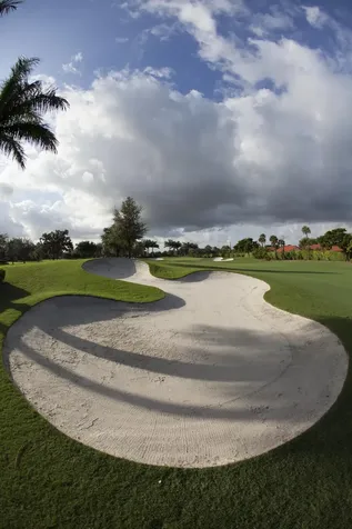 7314 Clunie Place Delray Beach FL 33446