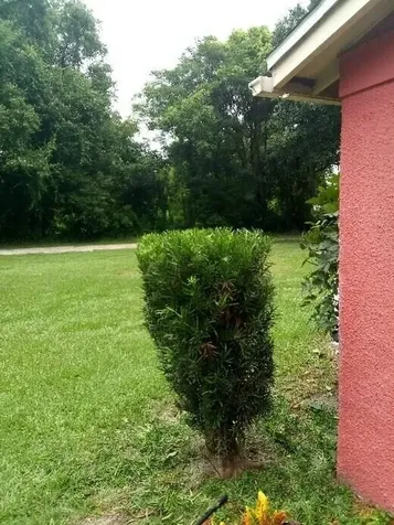 509 E Magnolia Street Kissimmee FL 34744