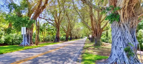 6115 Se Georgetown Place Hobe Sound FL 33455