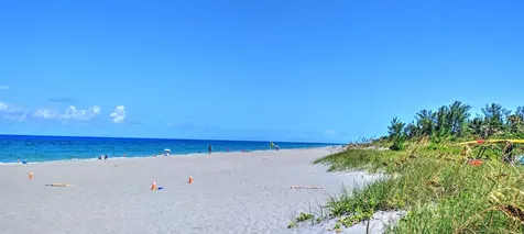 6115 Se Georgetown Place Hobe Sound FL 33455