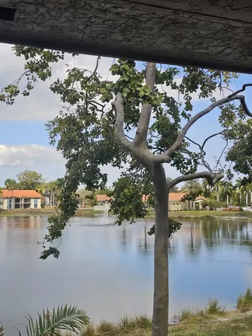 1520 W Windorah Way West Palm Beach FL 33411