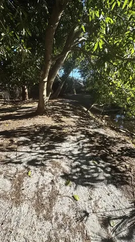 11852 47th Road West Palm Beach FL 33411