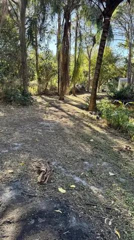 11852 47th Road West Palm Beach FL 33411