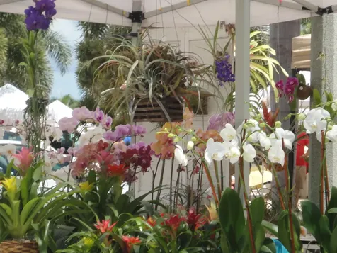 1440 Lexington Square Vero Beach FL 32962