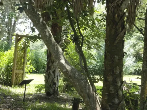 1440 Lexington Square Vero Beach FL 32962