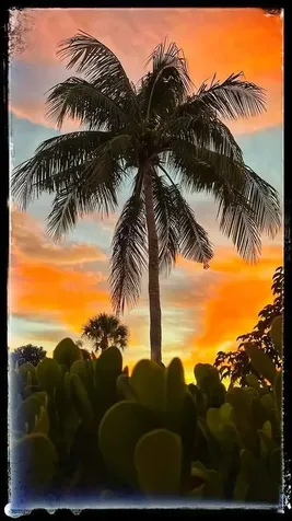 32 NE 22nd Avenue Pompano Beach FL 33062
