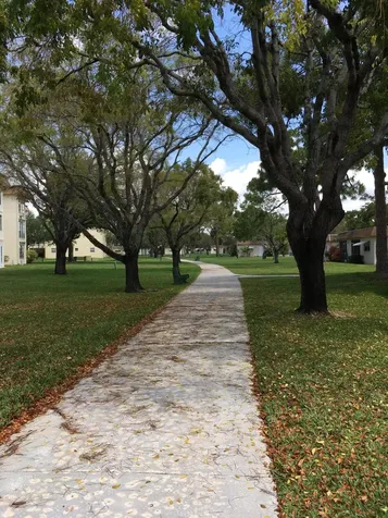 3123 SW Natura Avenue Deerfield Beach FL 33441
