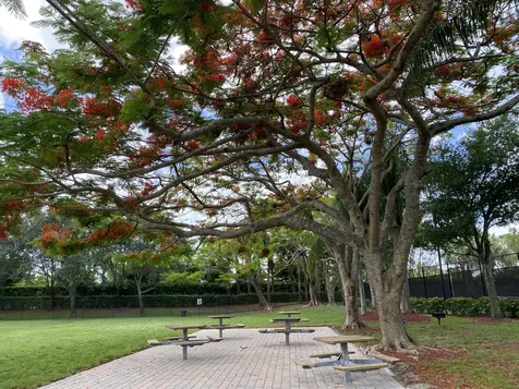 333 Berenger Walk Royal Palm Beach FL 33414