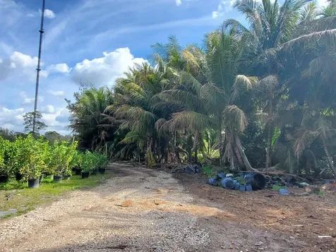 10655 61st Street Wellington FL 33449