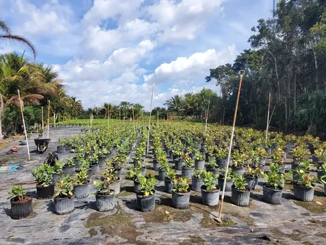 10655 61st Street Wellington FL 33449