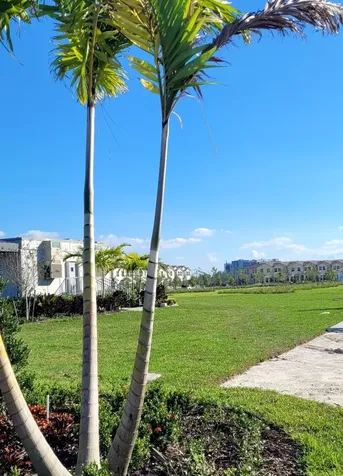 26426 Sw 148th Court Homestead FL 33032