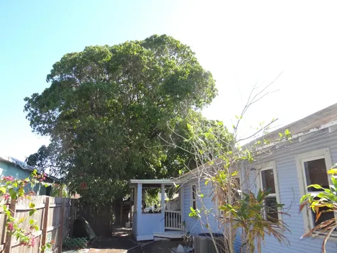 611 N E Street Lake Worth Beach FL 33460
