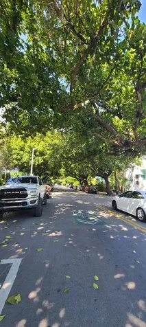 1000 Meridian Avenue Miami Beach FL 33139