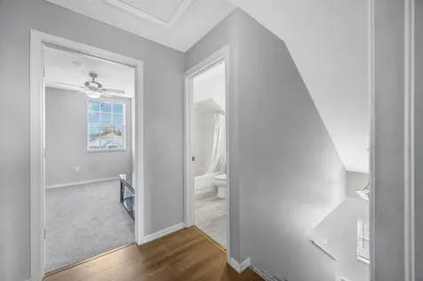 22644 Saint Thomas Circle Lutz FL 33549