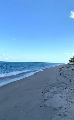 241 List Road Palm Beach FL 33480