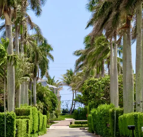 241 List Road Palm Beach FL 33480