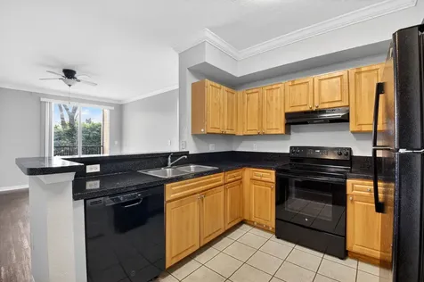 15145 Michelangelo Boulevard Delray Beach FL 33446