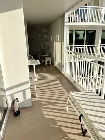 3546 S Ocean Boulevard South Palm Beach FL 33480