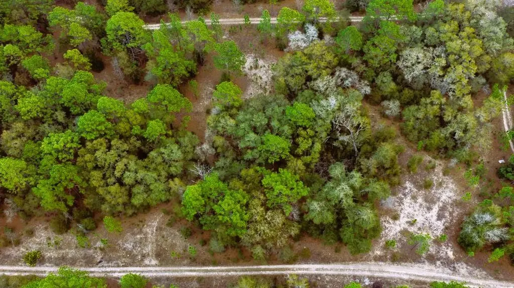 Lot 18 SW 152nd Terrace Ocala FL 34481
