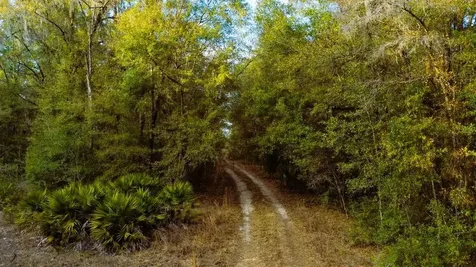 Lot 18 SW 152nd Terrace Ocala FL 34481