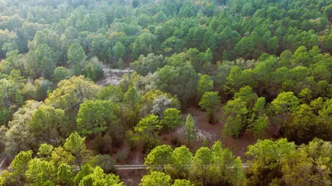 Lot 18 SW 152nd Terrace Ocala FL 34481