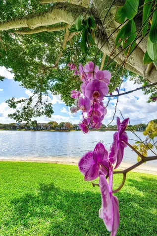 5380 Cedar Lake Drive Boynton Beach FL 33437