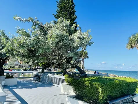 Hillsboro Beach FL 33062