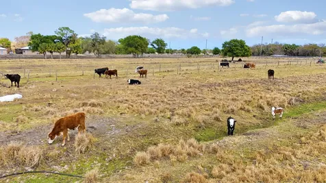 Tbd S Brocksmith Road Fort Pierce FL 34945