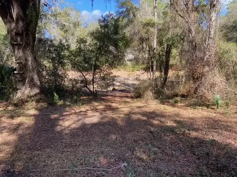 15137 Ne 141st Street Fort McCoy FL 32134