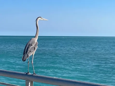 188 Bayshore Drive Melbourne Beach FL 32951