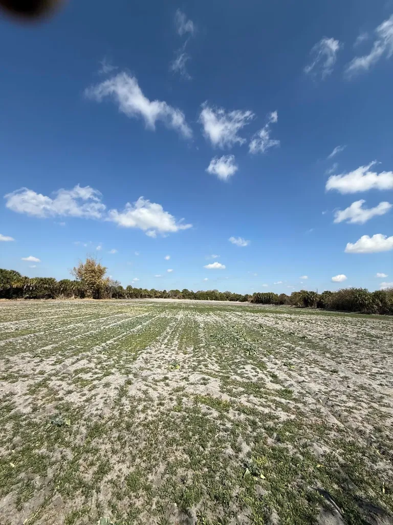 00 SW Tommy Clements Street Indiantown FL 34956
