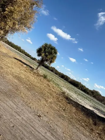 00 SW Tommy Clements Street Indiantown FL 34956